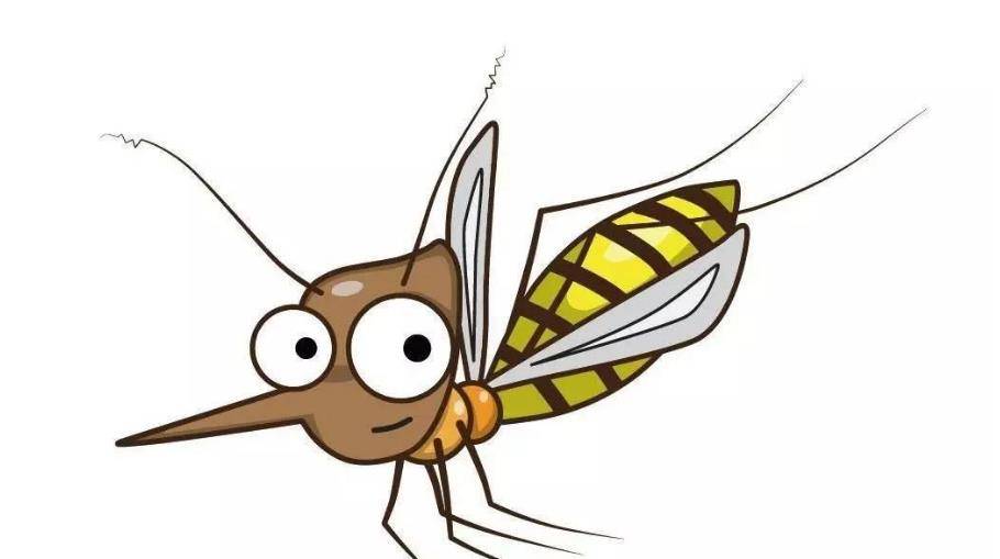 蚊子_蚊香_设备