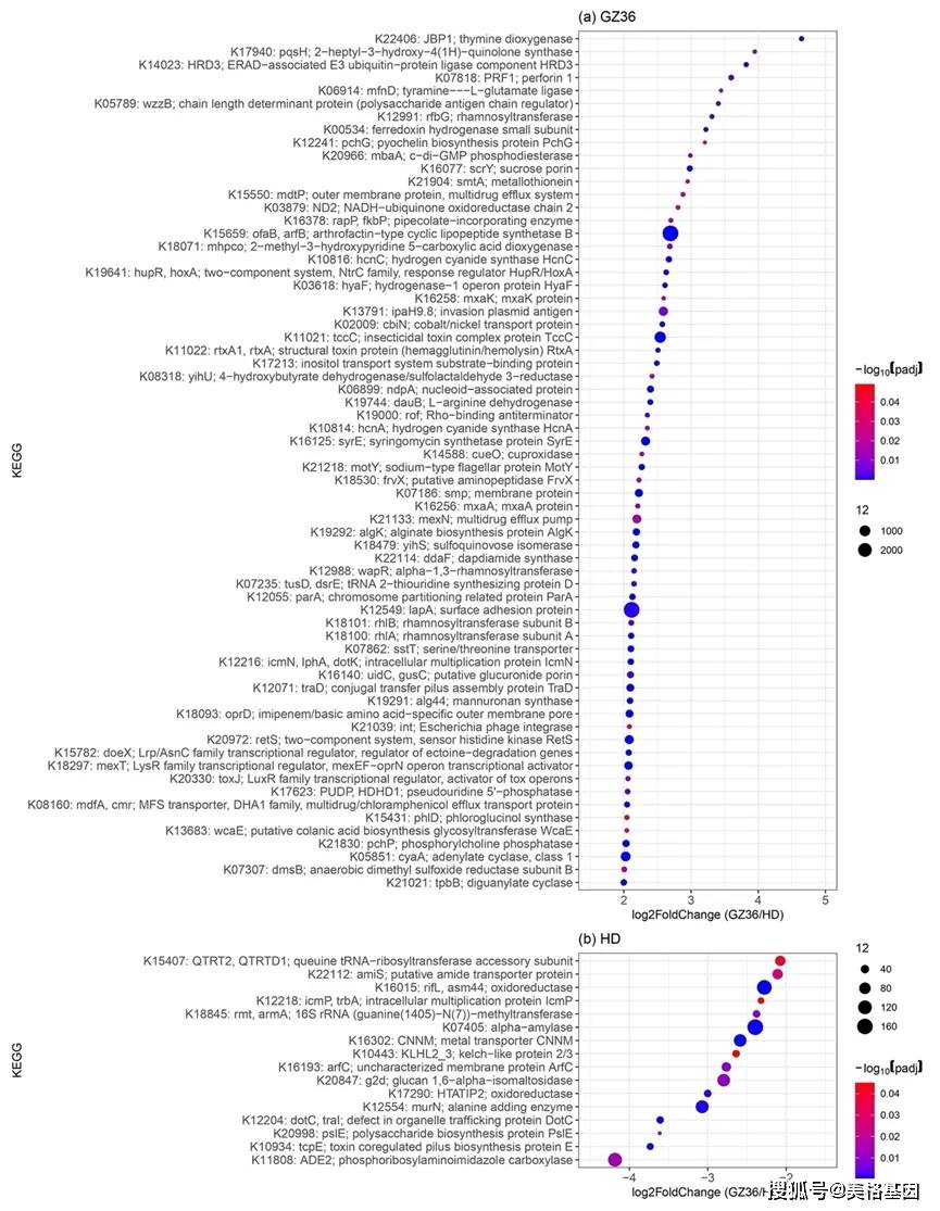 中科院地化学所郝立凯团队揭示易感和高抗烟草微生物