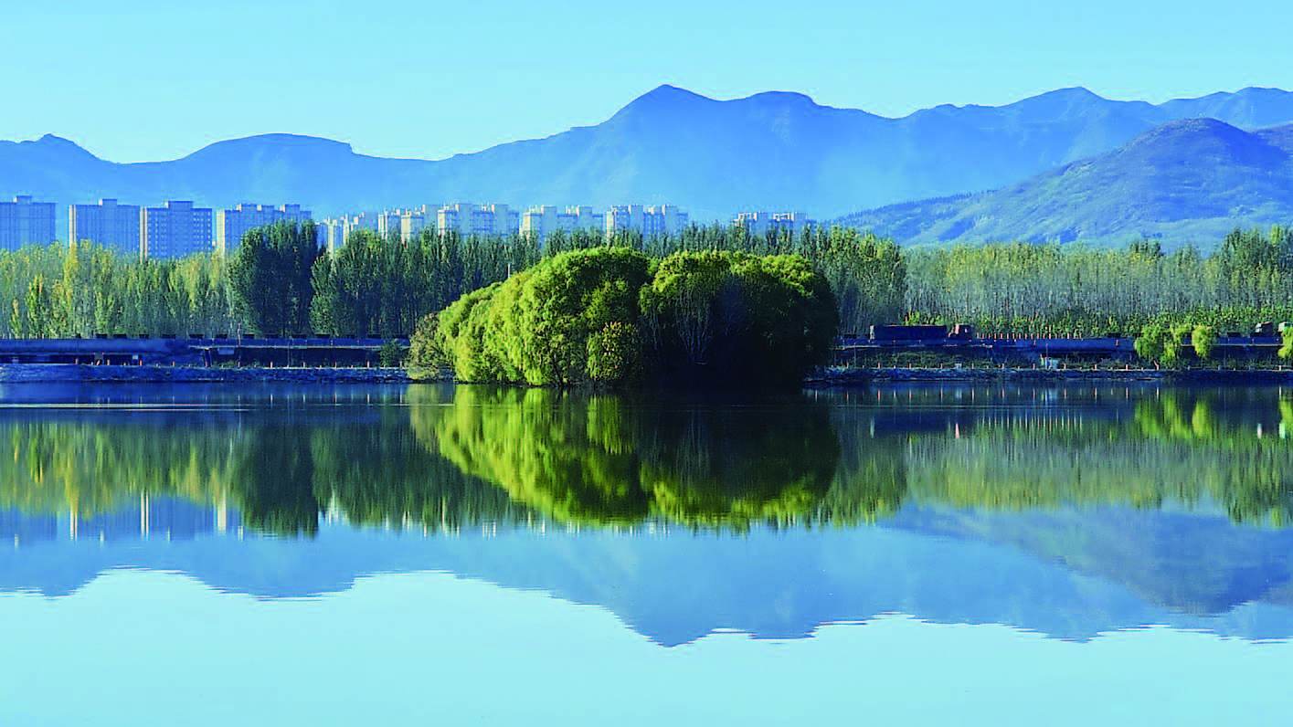 镜头里的滨州邹平市