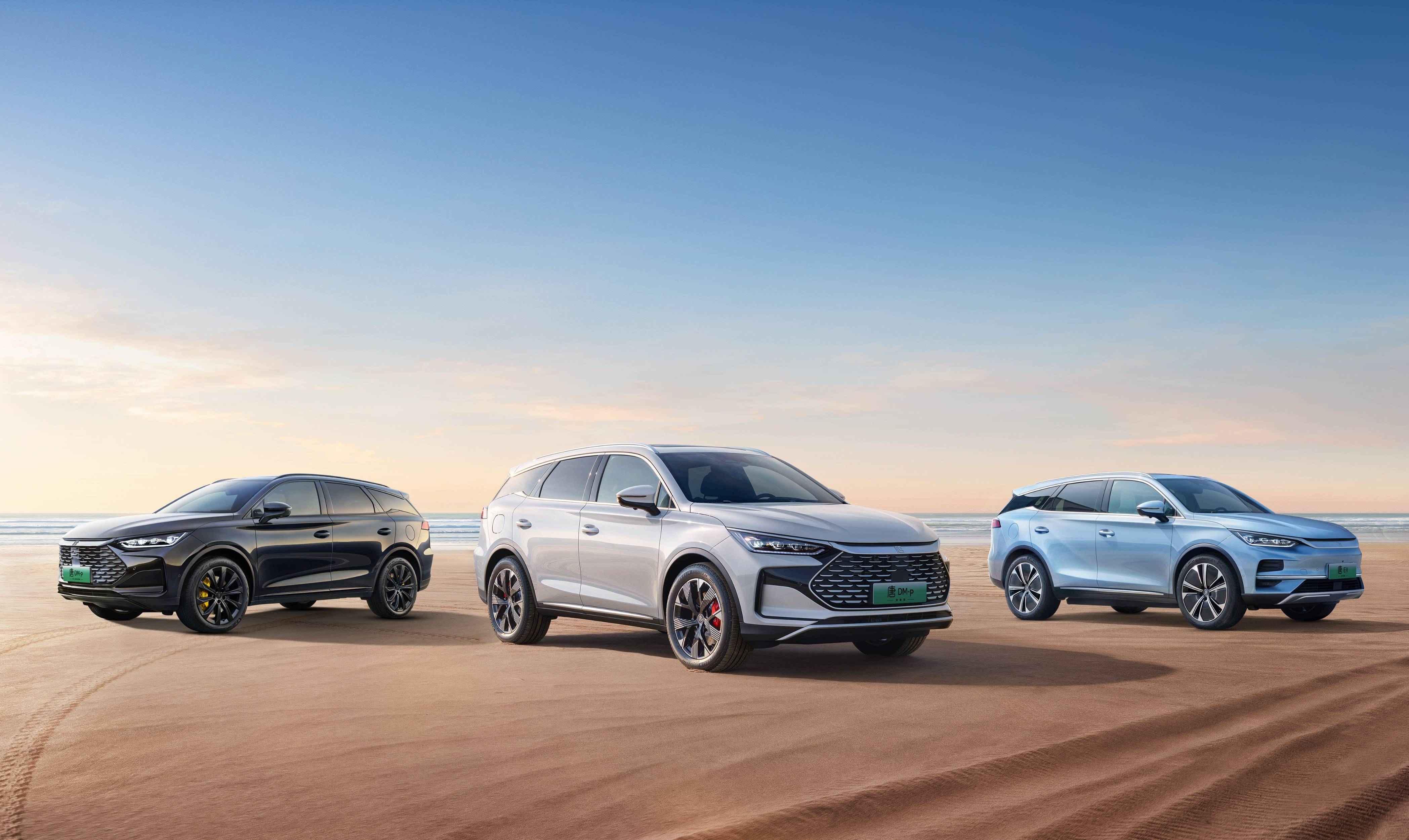 唐ev荣耀版,唐dm-p荣耀版/2024款战神版该怎么选?