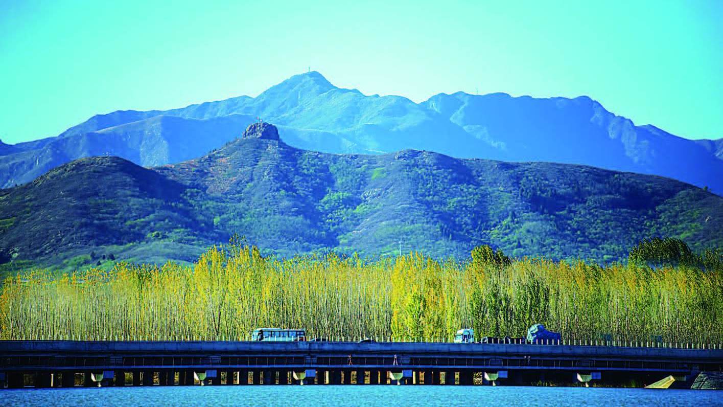 镜头里的滨州邹平市