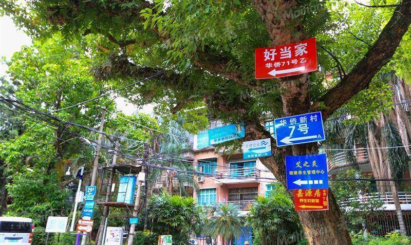 1965年华侨在福州集资修建,带灶台的独栋别墅-华侨新村