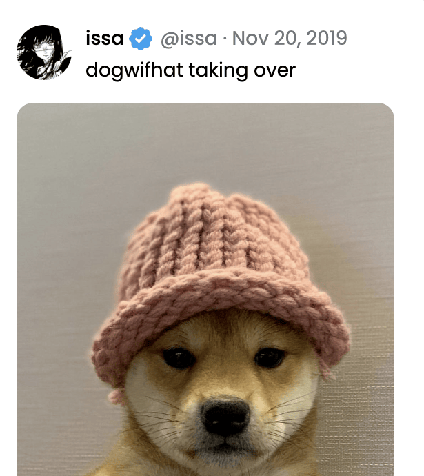 柴犬戴着帽子的头像图片