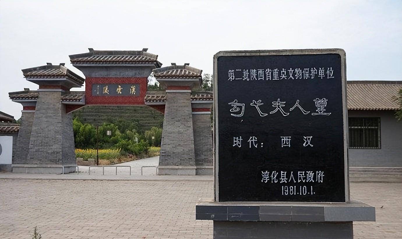 她能成为下一个吕后吗_卫子夫_江充_太子