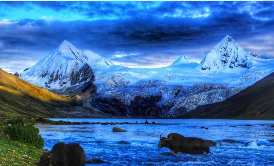 近十年最大泡沫,无数人