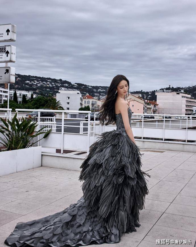 佟丽娅戛纳红毯惊艳亮相,银灰长裙秀玲珑身材,展翅高飞寓意深