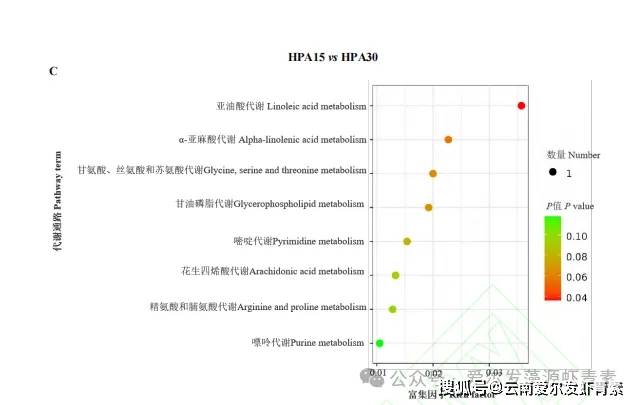 肌醇水平,促进亚油酸,α-亚麻酸,花生四烯酸和甘油磷脂的生物合成代谢