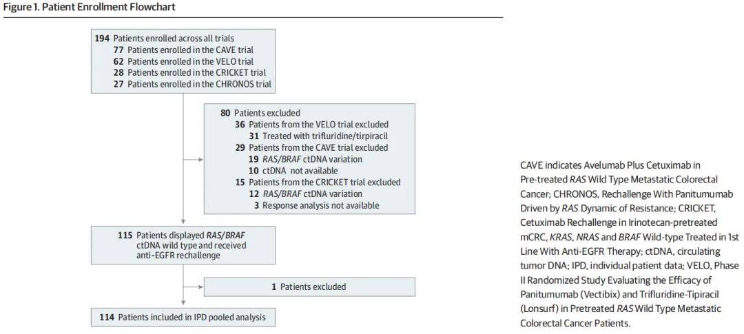 wt mcrc患者中研究了西妥昔单抗联合伊立替康作为三线治疗的再挑战