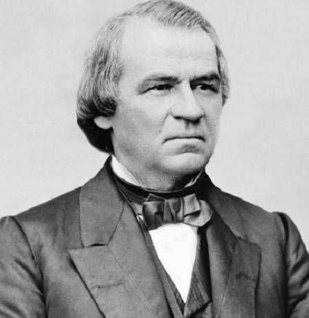 安德鲁·约翰逊_福特_西奥多·罗斯福