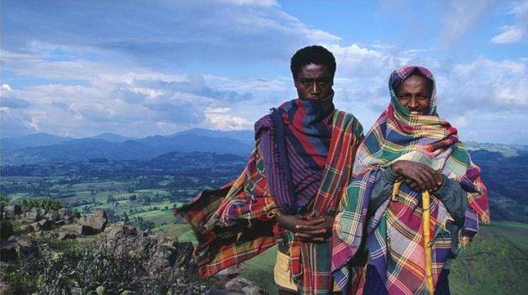 王学民_尼日利亚_团队