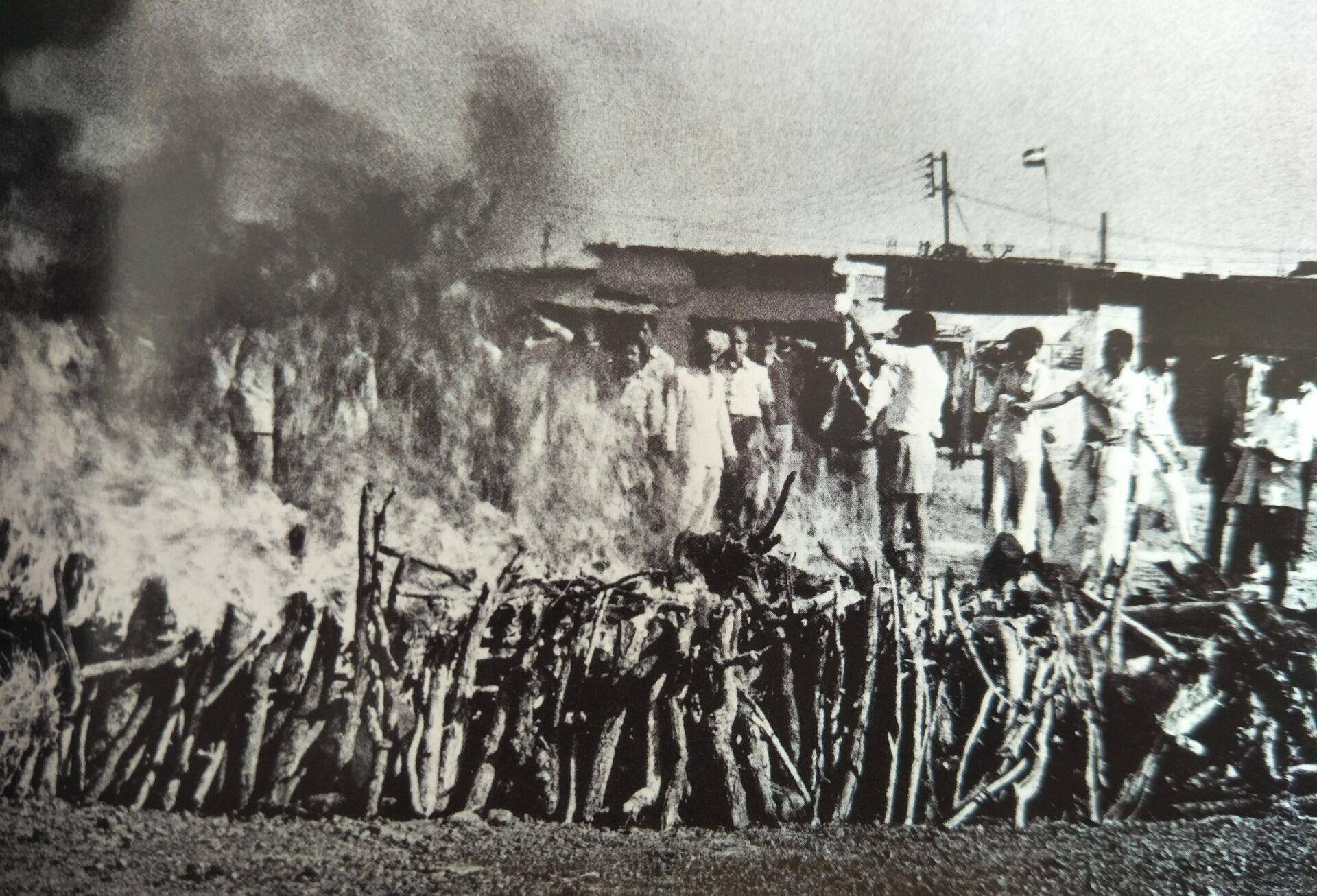 美国人眼中,一个印度人值多少钱?500美元,不许讨价还价