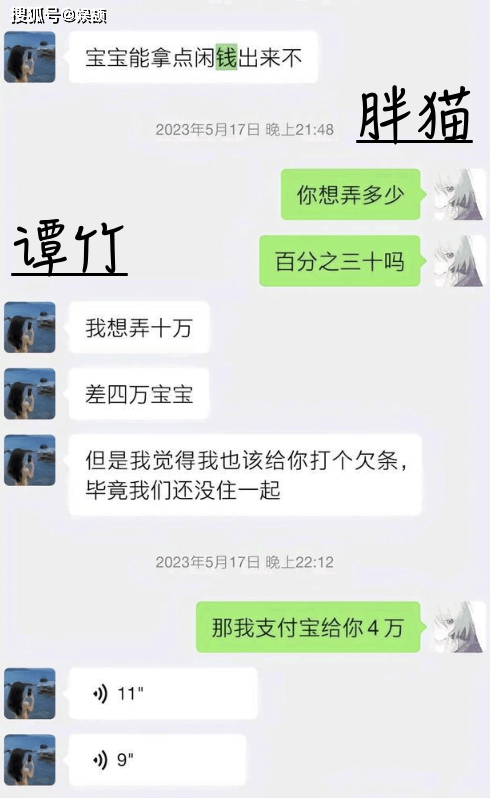 胖猫事件后续,又一造谣者道歉,已有多种乱象浮出水面