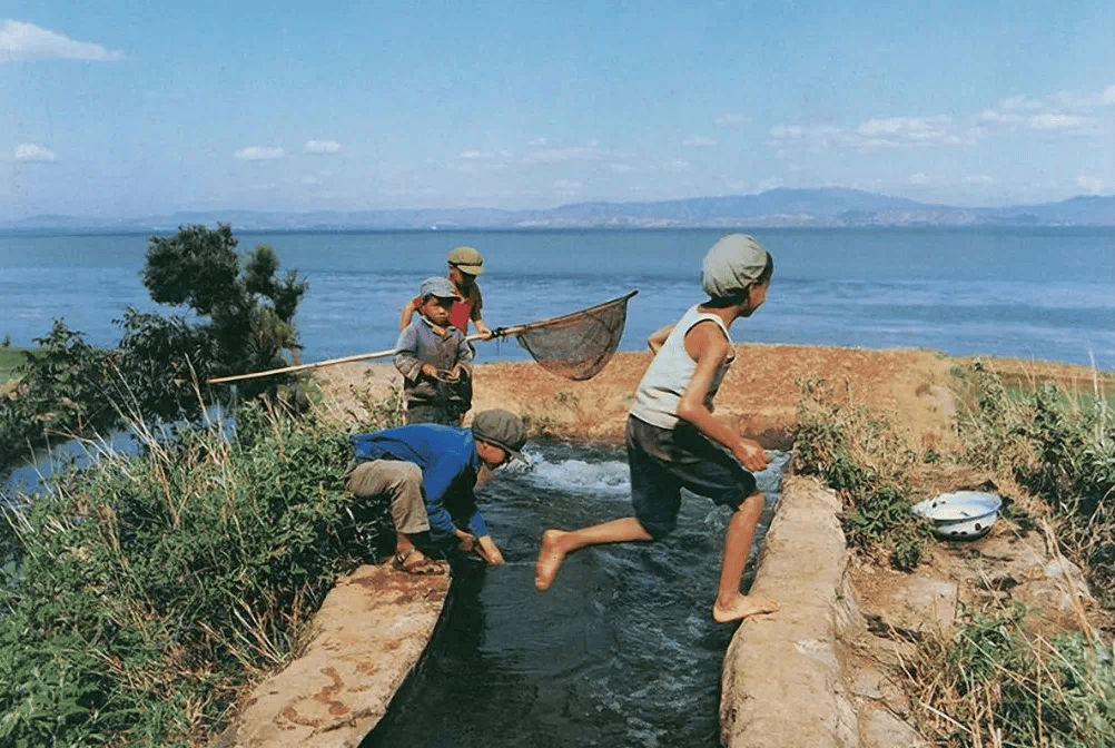 看了40年前的老照片,才明白现在为啥每5个孩子,就有1个有心理问题