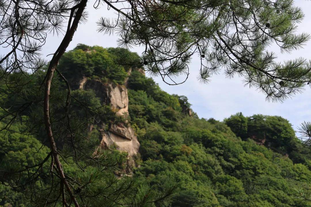 集安市_小吉_龙村