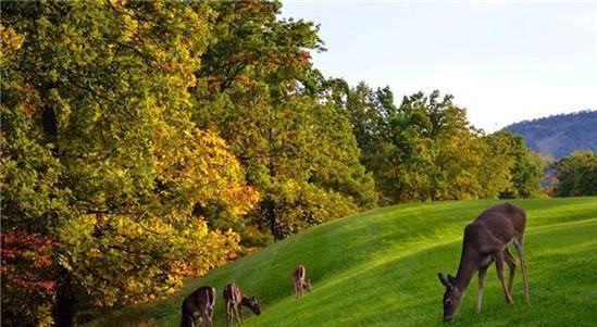 朱元璋农家避雨,问主人姓名,农夫回答后立即被赐封"牧马千户"