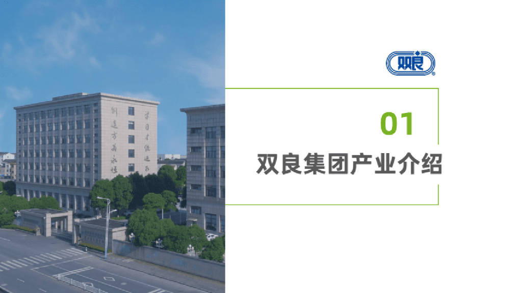 双良碳中和解决方案_报告_公众_版权