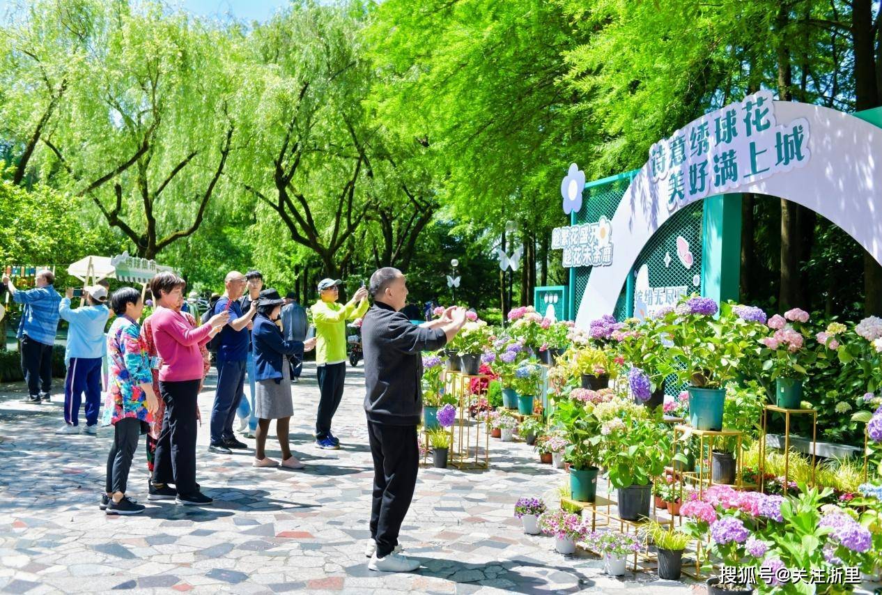 美好满上城——杭州市上城区开启特色花卉展_市民_游客_花展