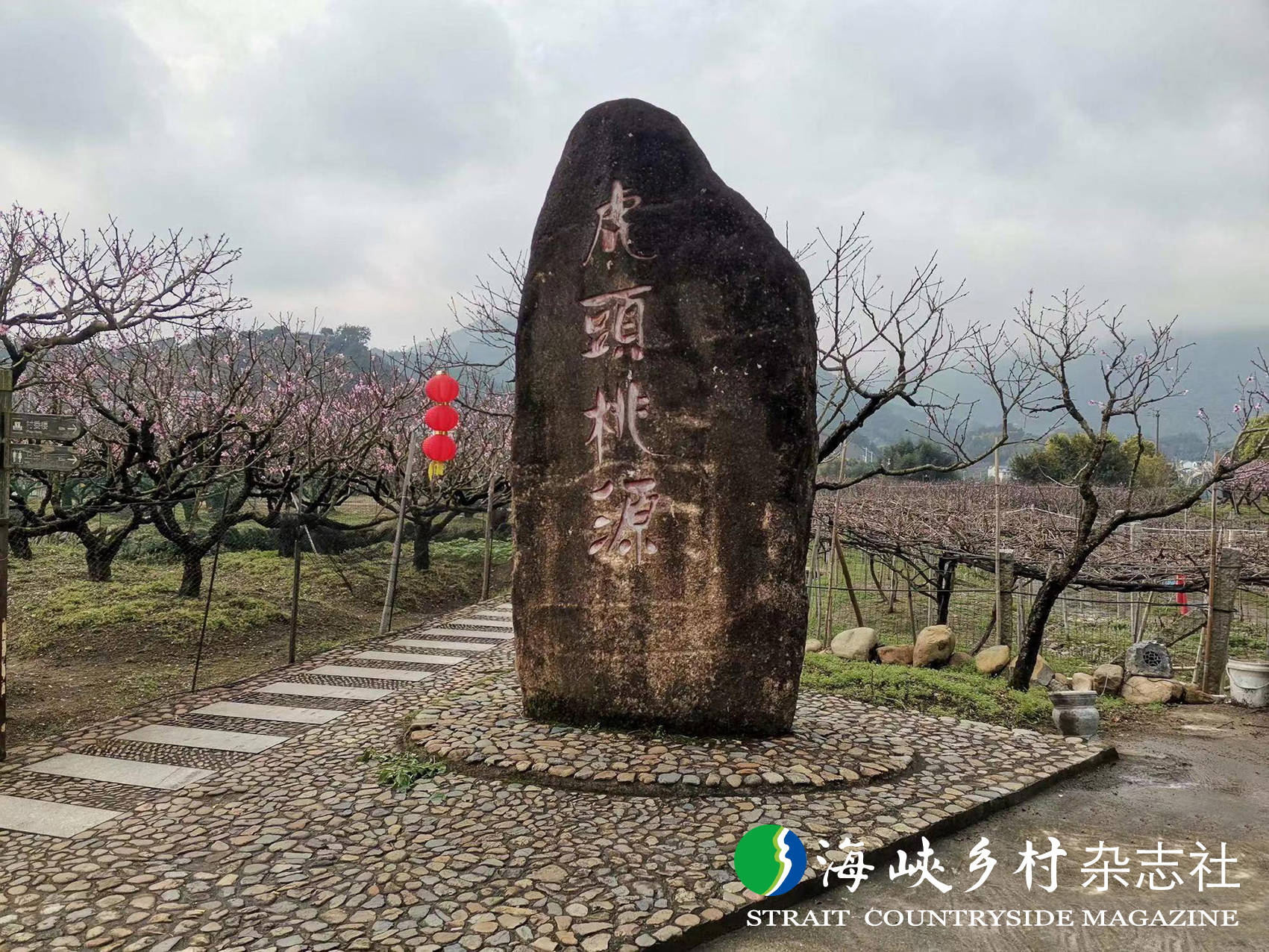 【金牌旅游村】福建|福安虎头村:桃花海里醉春风