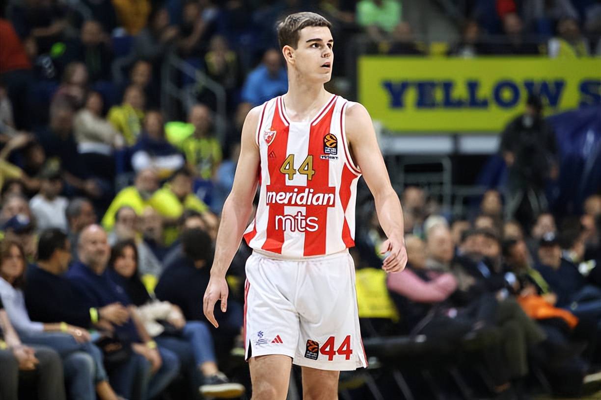 里萨_萨尔_皮奇