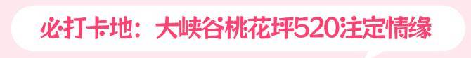 免门票啦！这个初夏，想和“你”一起遨游整个宝泉-宝泉游览区攻略
