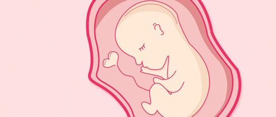 新研究揭示潜在风险:孕妇胎盘出现绒毛水肿及