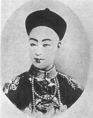 一说是光绪贴了袁世凯送的膏药导致死亡.