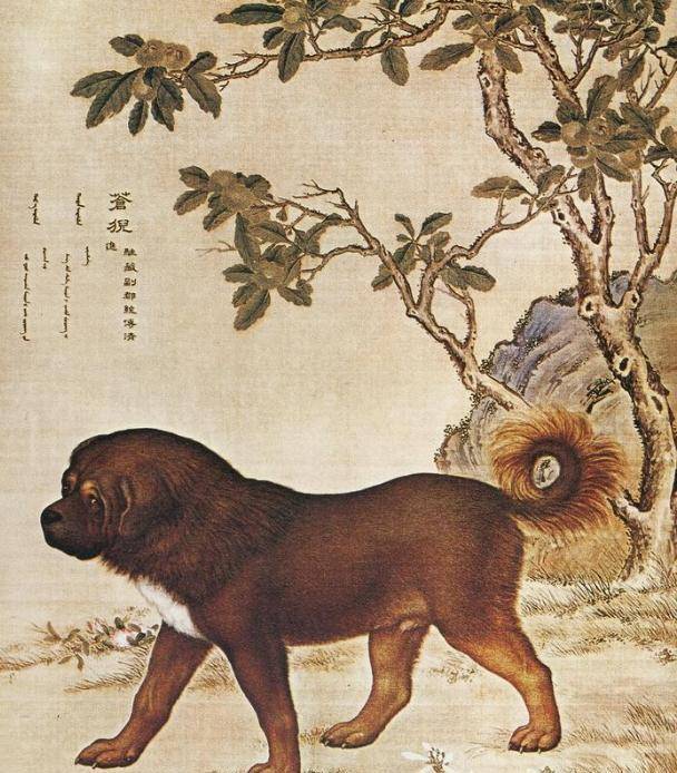 乾隆真实容貌长啥样?被外国人画师郎世宁画下,网友:颠覆想象