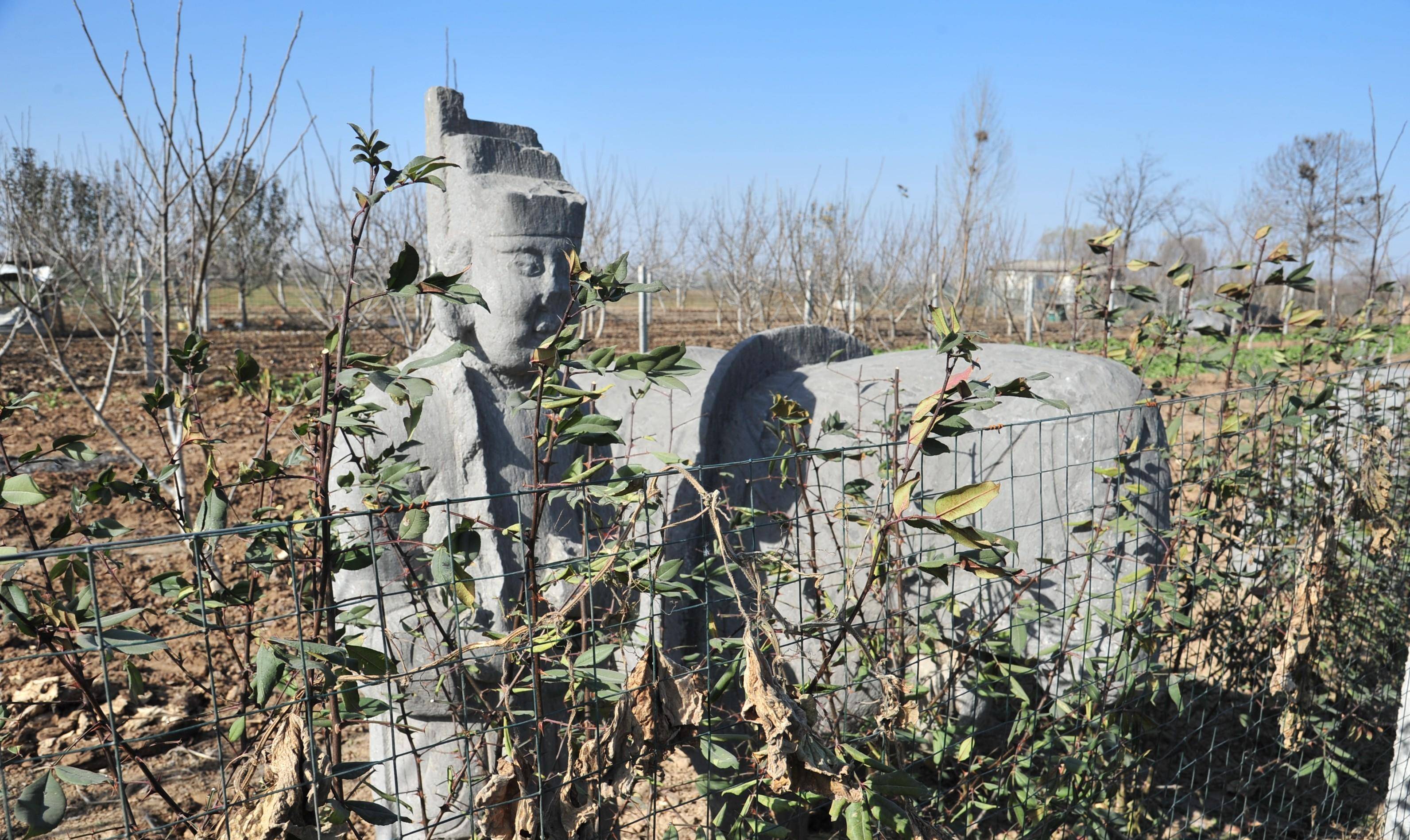 奇"豫"记:追迹叛逆而短命的雄主