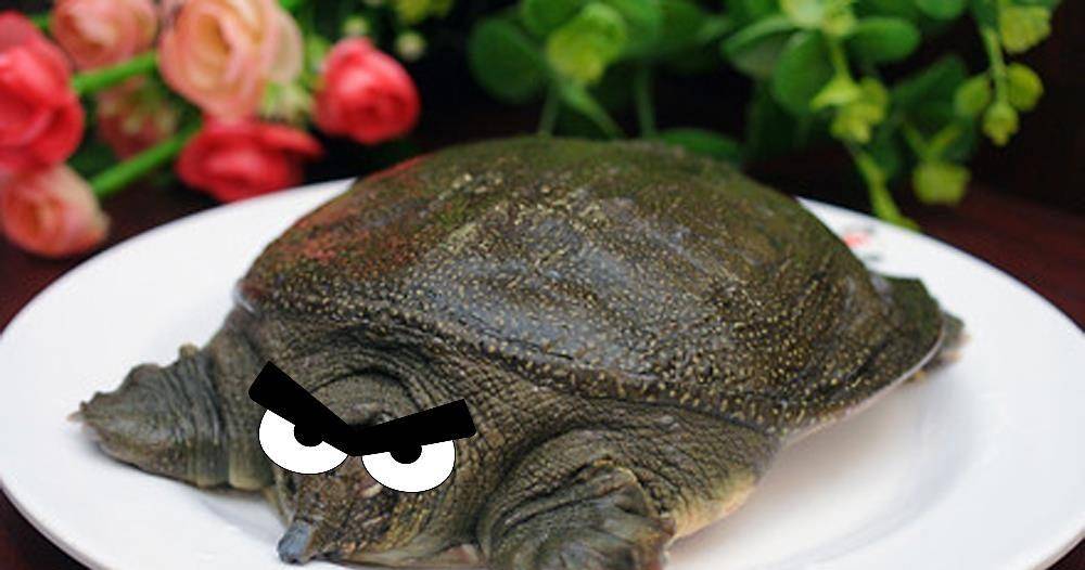 郑灵公国君才当了半年,因一口老鳖汤,惨遭屠戮