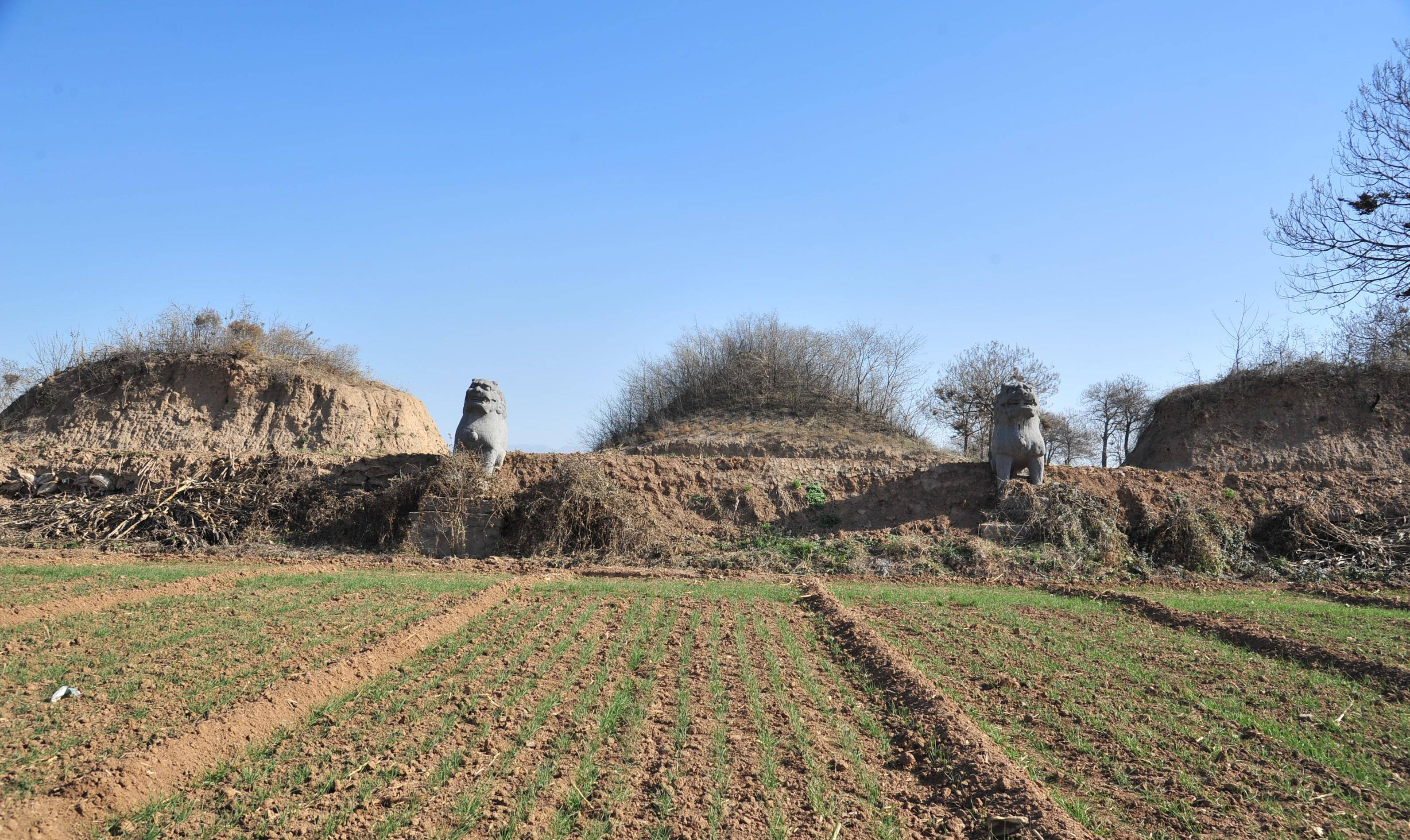 奇"豫"记:追迹叛逆而短命的雄主