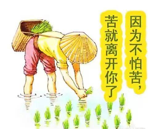 不辞劳苦 来自搜狐网