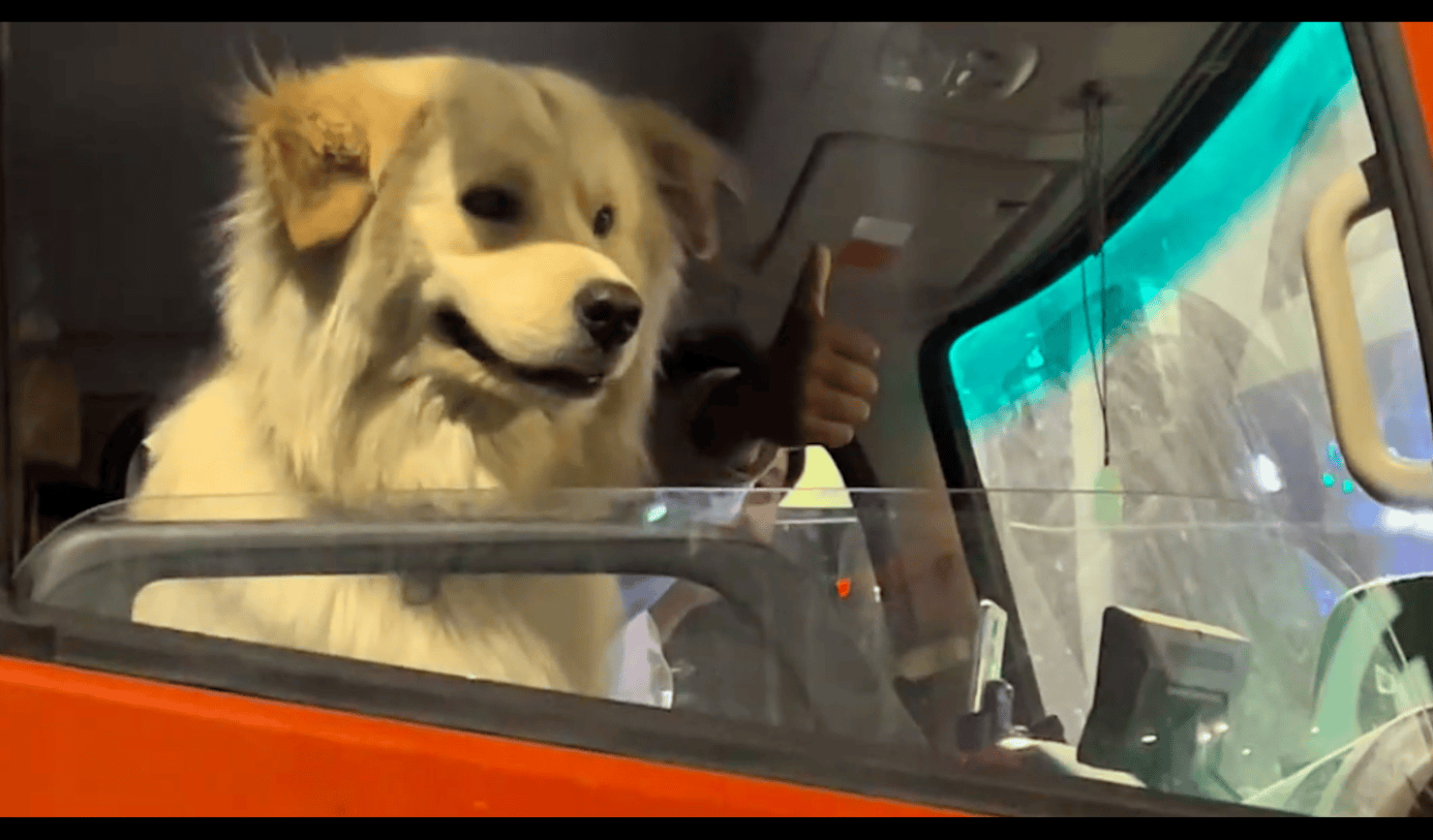 剛剛刷到這個，好感動，好好聽。 臉書這個影片配的狗狗好可愛https://www.facebook.com/share/r/14MJKLaarTr/  \u003d\u003d\u003d\u003d\u003d\u003d\u003d\u003d\u003d\u003d\u003d\u003d\u003d\u003d\u003d\u003d\u003d\u003d\u003d\u003d\u003d 原始貼文：哔哩哔哩UP主西彬西彬【, image size:1386x813