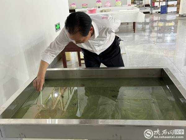 镇巴宣纸的"守艺人"