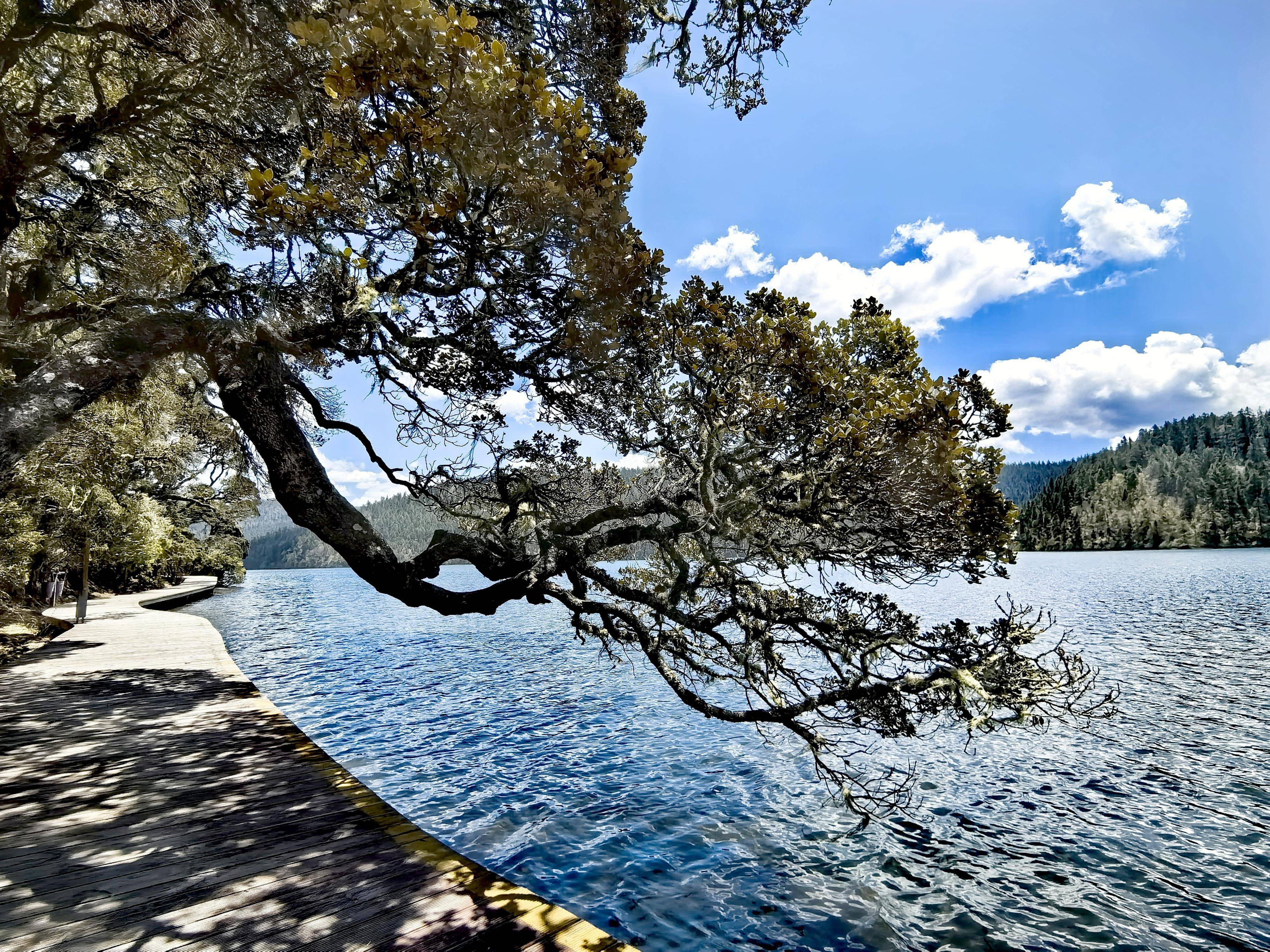 湖北老农民自驾旅游大西南,行8600公里游52个景区,分享4点心得