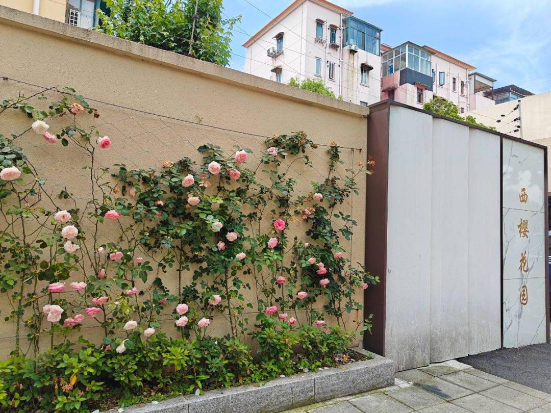 走近桂江路与钦州南路交叉口,目之所及,花墙上的