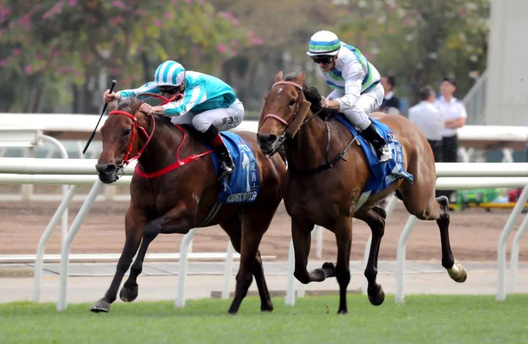 "浪漫勇士"和"遨游气泡"征日对手名单出炉!