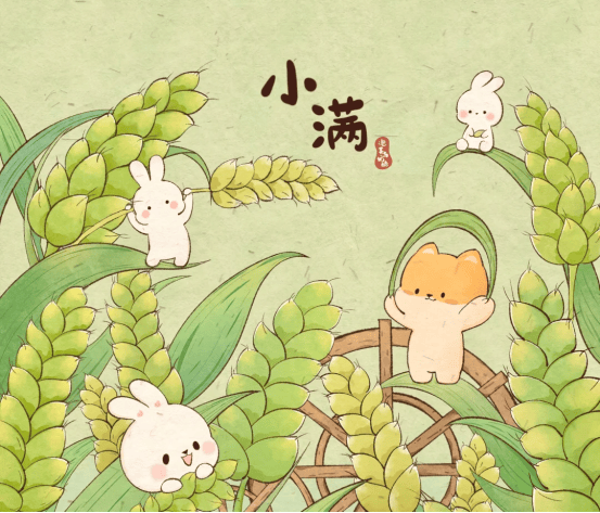 【小满】花开半夏,小满即安