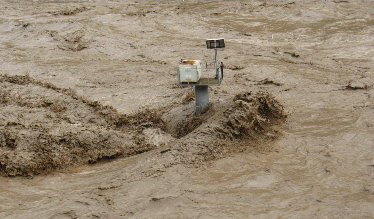 长江沿岸多次发生"走蛟",蛇真能化蛟?这是一种什么生物?