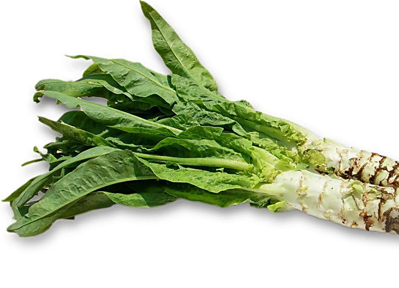 小白菜是含有镁的绿色蔬菜,有利于让我们放松肌肉和神经,这样可以让