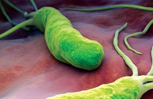 幽门螺杆菌吃药3年不如把它煮汤加红糖喝8天,消胃炎杀灭幽门菌