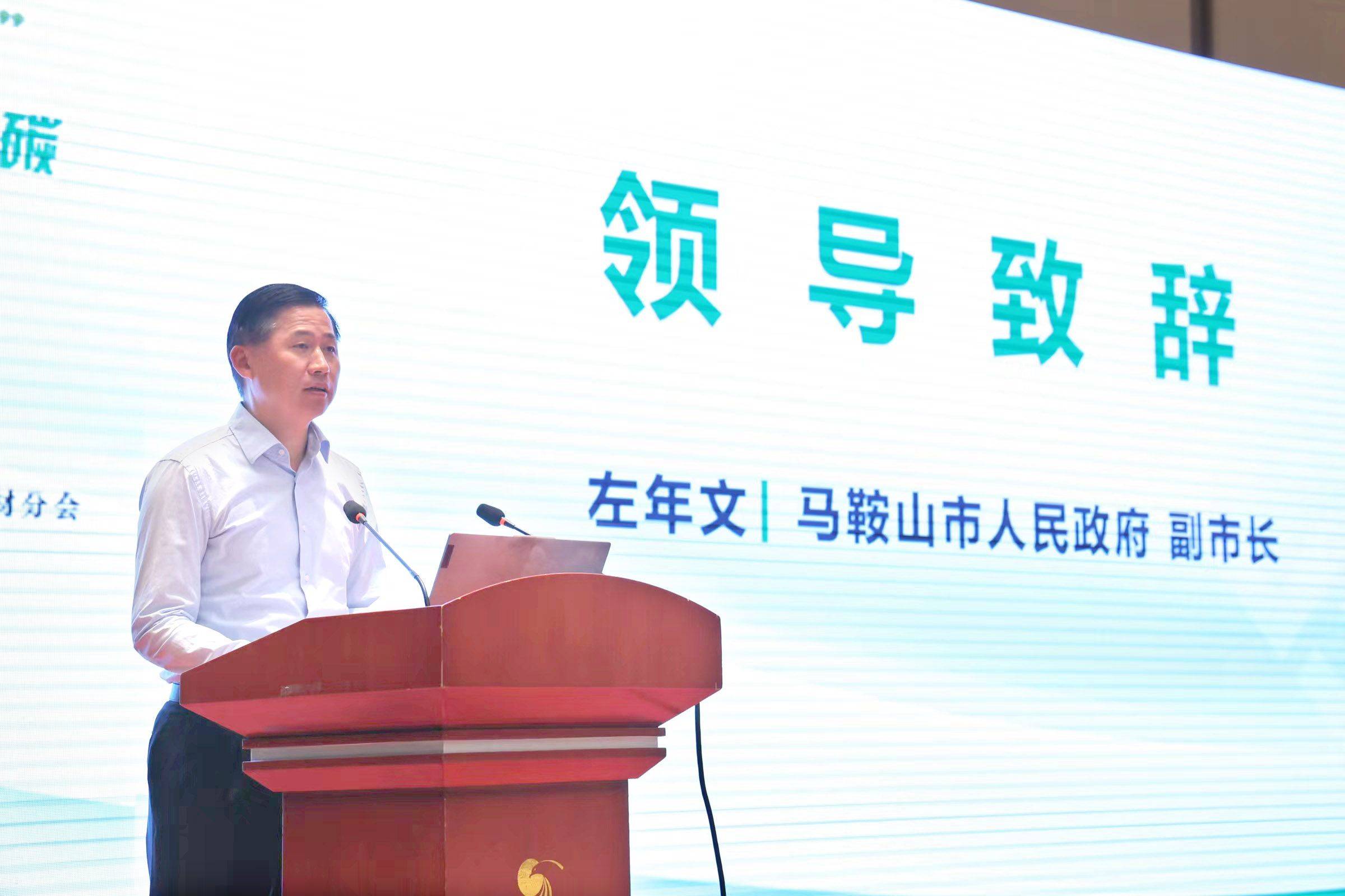 马鞍山市副市长左年文致辞左年文代表马鞍山市委市政府向大会的顺利