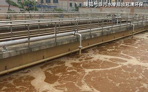 污水处理生物脱氮新技术