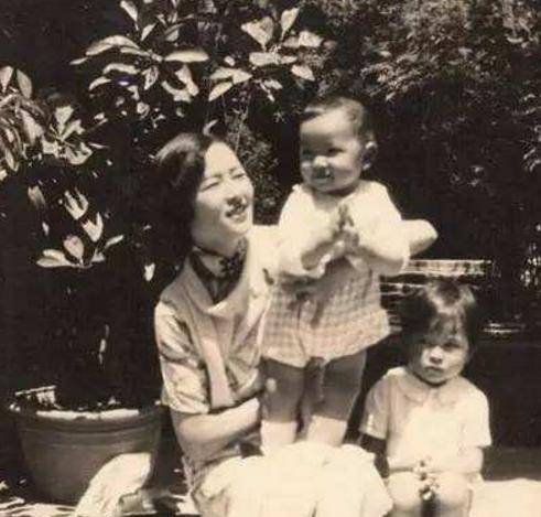 林徽因儿子为何怨恨冰心:冰心写小说影射林徽因,晚年却一口否认