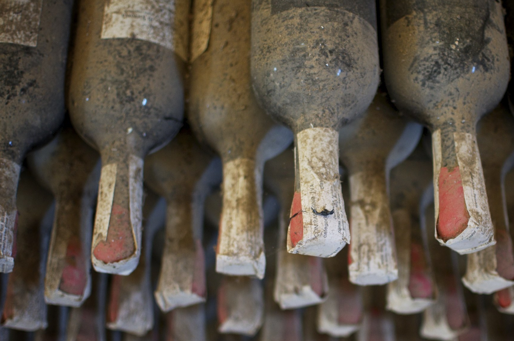 老外造起假来手段更狠_鲁迪_公司_中国