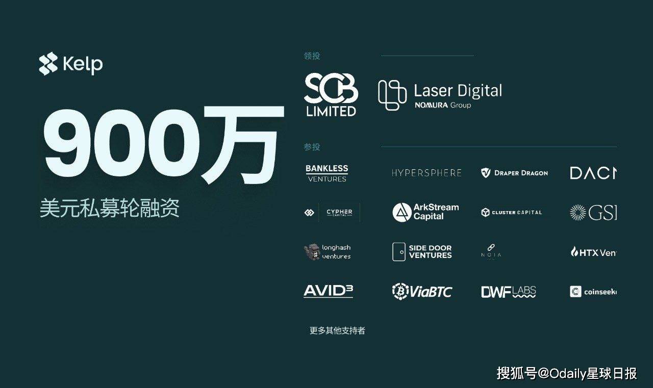 KelpDAO完成900万美元私募轮融资，发力再质押赛道创新_搜狐网