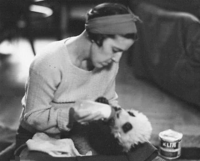 83年前,此美国设计师把大熊猫带出中国,墓碑上"熊猫夫人"_露丝·哈克