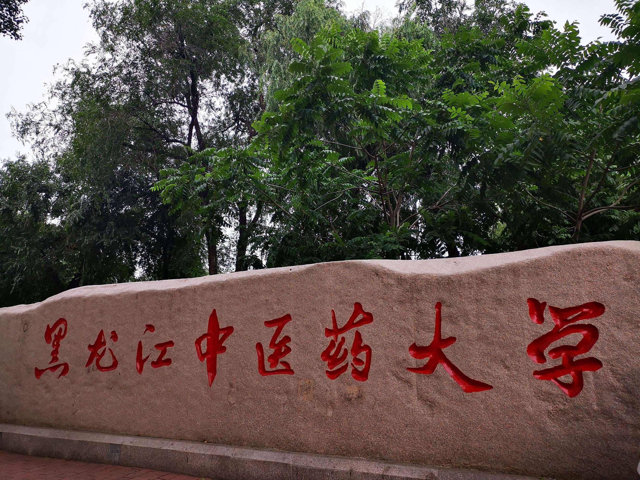 关于黑龙江中医药大学附属第一医院黄牛随时帮患者挂号的信息