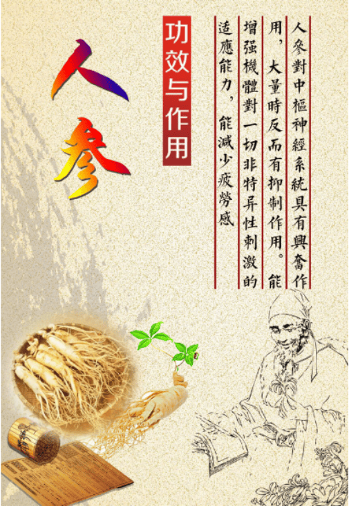 人参三九植物饮料:五指毛桃助力,破解"虚不受补"难题