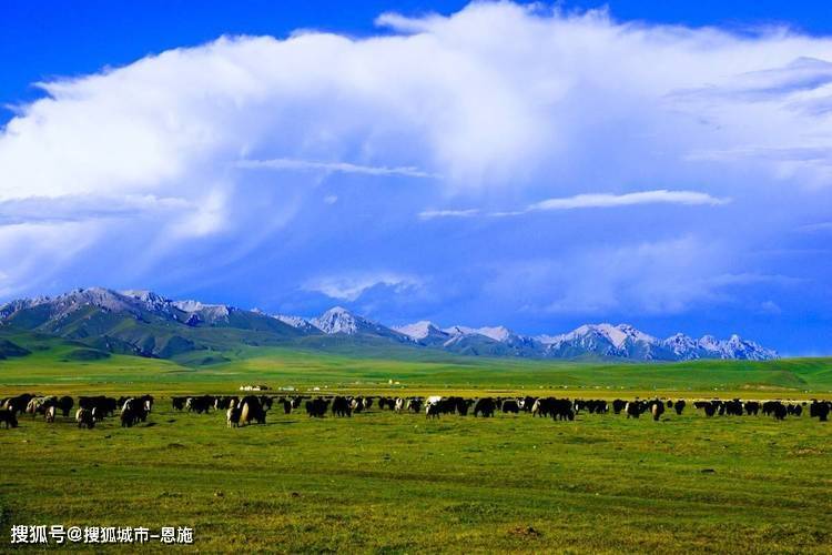 「去青甘大环线旅游团费用多少钱」✅ 去青甘大环线旅游团费用多少钱一个月