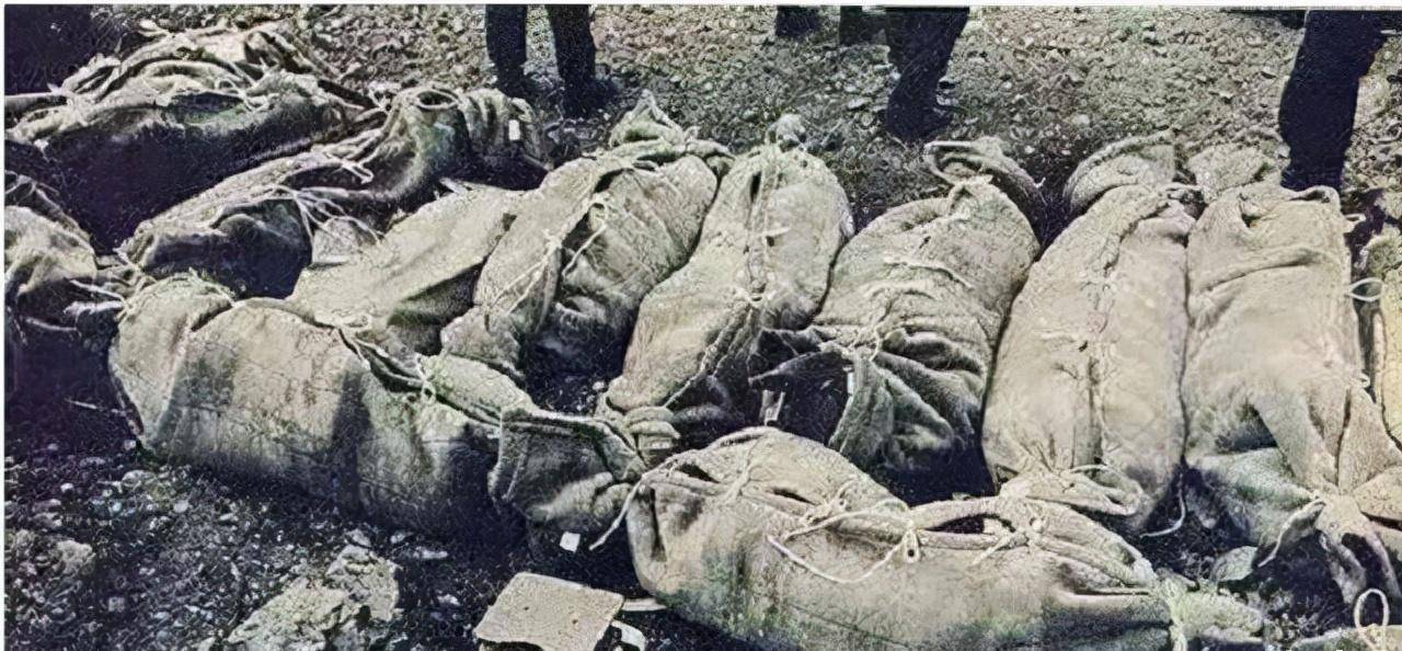 日航123空难:520人遇难,只因救援队的"佛系"搜救?